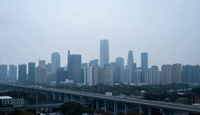 财税合规服务中资质审核的常见问题与应对策略